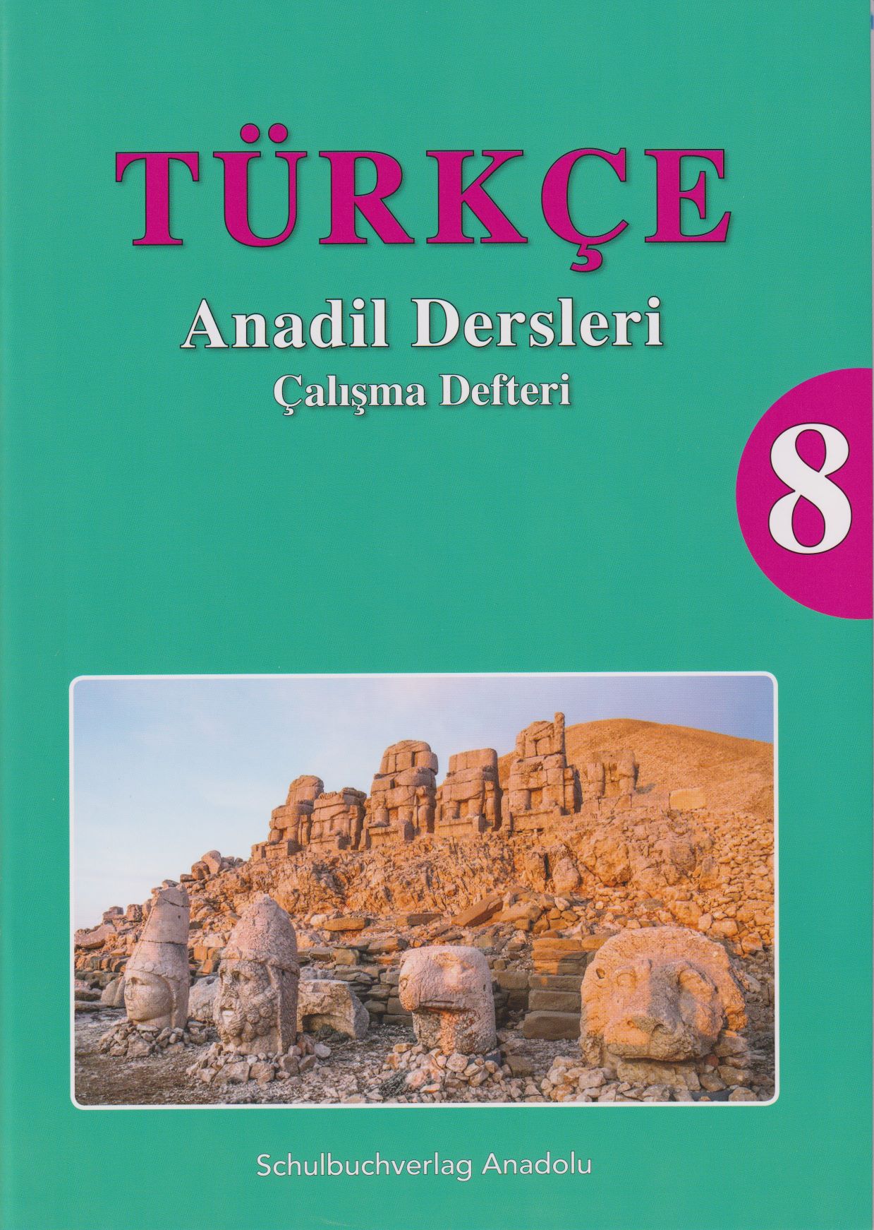 Türkçe Anadil Dersleri 8 Çalışma Defteri